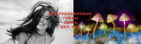 амфетамин Алексеевка