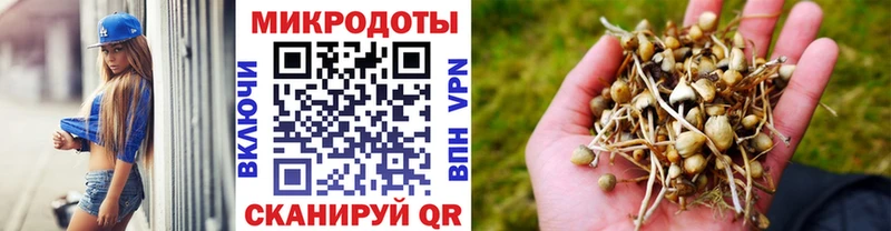 Псилоцибиновые грибы MAGIC MUSHROOMS  наркошоп  Киселёвск 